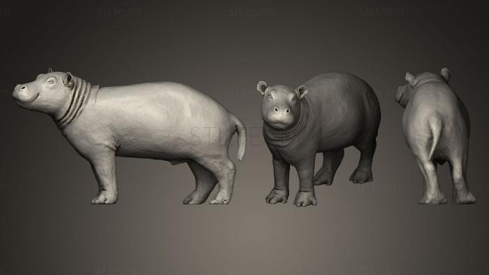 3D model Baby Hippo (STL)